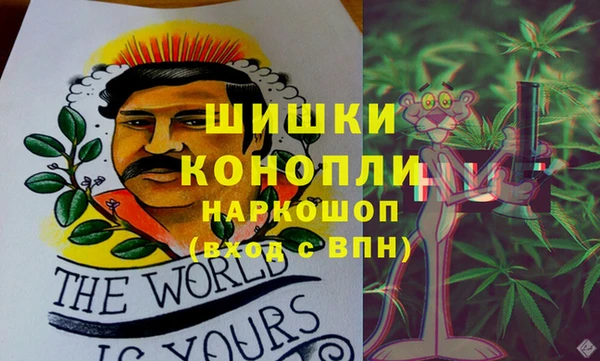 винт Белокуриха