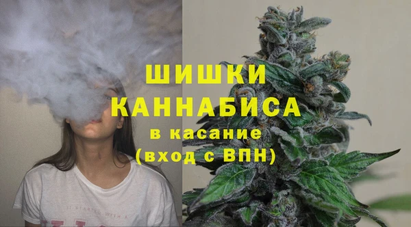винт Белокуриха
