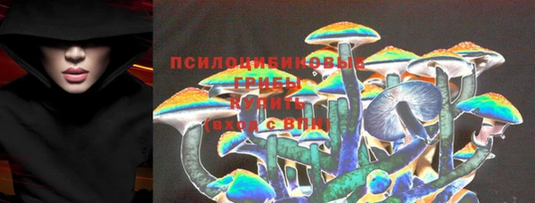 винт Белокуриха