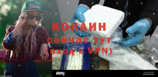 прущие грибы Сафоново
